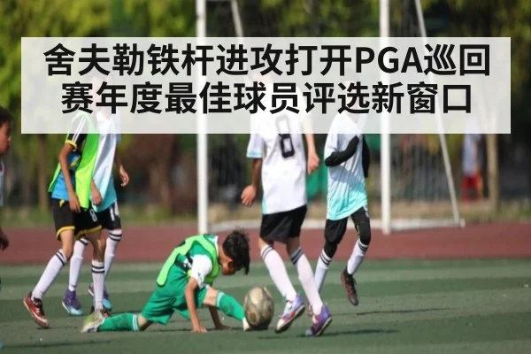 舍夫勒铁杆进攻打开PGA巡回赛年度最佳球员评选新窗口