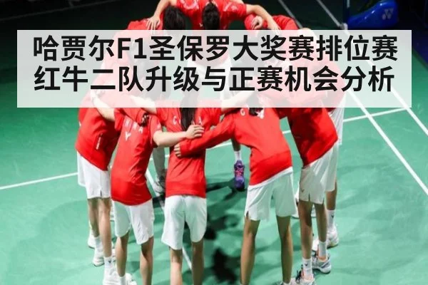 哈贾尔F1圣保罗大奖赛排位赛红牛二队升级与正赛机会分析